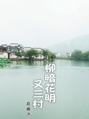 cover image of 柳暗花明又三村